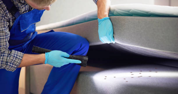 Best Termite Control Services  in Sullivans Island, SC