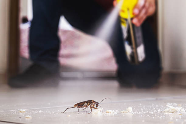 Professional Pest Control in Sullivans Island, SC