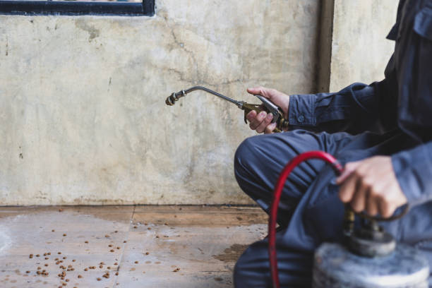 Best Wasp Removal Services  in Sullivans Island, SC